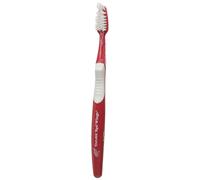 NHL Detroit Red Wings Toothbrush