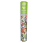 NHM Natural History Museum Paint by Numbers Butterflies Hanging Kit with 24 Paints and 3 Brushes, Ocean Design, 400 x 500 mm, Multicoloured, Learn to Paint for Adults