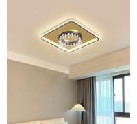 NHPJFDC LED Ceiling Light Flush Mount Ceiling Light Fixture,Dimmable Ceiling Lighting Fixture, Modern Led Ceiling Lamps for Bedroom Office Stairs Hotel Living room kitchen Hallway (Color : Gold, Size