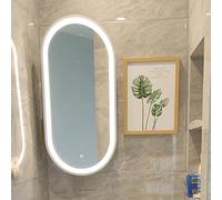 NHPJFDC Oval Bathroom Mirror With Light, 180° Swivel Wall-mounted Mirror, LED Vanity Mirror With Touch Switch, Metal Frame, 3-colour Switching, Explosion-proof(White,40 * 80cm)