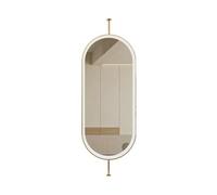 NHPJFDC Oval Boom Hanging Mirror with LED Light,Wall Mounted Suspended Corridor Bathroom Mirror,Clear and Practical,Home Hotel(A-Gold,30x80cm)