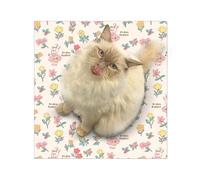 Nhujevkom Wrap for Cat Grooming | Adhesive Anti-Escape Cat Calming Wrap - Multi-Functional Cat Wrap, Cat Swaddle Restraint for Friends, Families