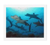 NHYDSPQ DIY Digital Painting,Hammerhead Sharks Print Paint by Numbers,adult Digital Oil Painting Sets,DIY Paint by Numbers for Beginners