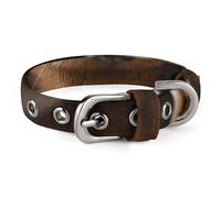 NHYDSPQ Pet Collar, Dachshund Book Print Pet Collar,Personalized Pet Collars Cat Collar for Small and Medium-Sized Dogs Adjustable Sizes, style-6