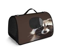 NHYDSPQ Pet Handbag, Cute Raccoon Print Pet Handbag,Fashion Dog Carrier for Cat and Samll Dog,Any Travel and Outdoor Activity., 45X26X23.5cm, style