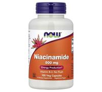 Niacinamide, 500mg - 100 caps