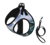 Niagara Fall print Dog Harness and Leash Set, Reflective Adjustable Puppy Vest for Small Medium Large Dogs, Cats