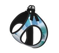 Niagara Fall Print Printing Dog Summer Harness With Leash Set,Adjustable And Reflective Step-In Puppy Pet Vest Harnesses