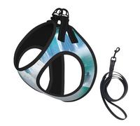 Niagara Fall Print Printing Dog Summer Harness With Leash Set,Adjustable And Reflective Step-In Puppy Pet Vest Harnesses