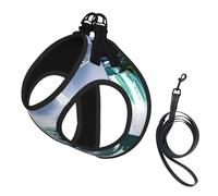 Niagara Fall Print Reflective Pet Leash Vest For Small Dogs & Cats, Adjustable Outdoor Walking Hiking Vest