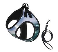 Niagara Fall Printing Dog Summer Harness With Leash Set,Adjustable And Reflective Step-In Puppy Pet Vest Harnesses