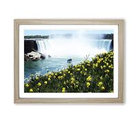 Niagara Falls Daffodils Flowers Modern Framed Print | A3 Oak Framed Wall Art | Ready to Hang | Modern Floral Picture | Living Room Bedroom Lounge Office