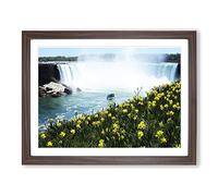 Niagara Falls Daffodils Flowers Modern Framed Print | A3 Walnut Framed Wall Art | Ready to Hang | Modern Floral Picture | Living Room Bedroom Lounge Office