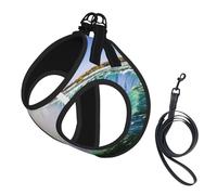 Niagara Falls print Dog Harness, 2X Buckle,Dog Vest,No Pulling Front Leash Clip,for Small Medium Dogs