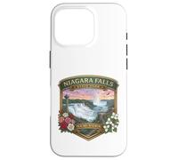 Niagara Falls State Park New York Novelty Souvenirs Case for iPhone 16 Pro