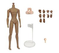 niannyyhouse 1/8 BJD Doll Customized Body, Ball Jointed Dolls, Movable Joints Collectible Models, Female Male, No Head (Light Brown, 1/8 BJD Male)