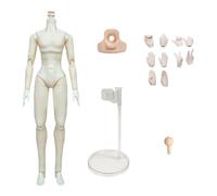 niannyyhouse 1/8 BJD Doll Customized Body, Ball Jointed Dolls, Movable Joints Collectible Models, Female Male, No Head (Super White, 1/8 BJD Male)