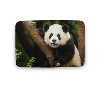 Niapessel Bath Mat,Bathmat, Bath Mats for Bathroom Floor, Cute Panda Print Shower Rug Small Coral Velvet Absorbent Soft Washable for Door Entrance, Tub Side, Sink Front, Vanity