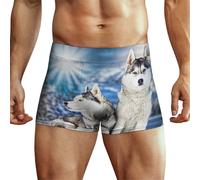 Niapessel Men's Boxer Briefs, Men's Underwear Boxer Brief, Breathable Comfort Flex Fit Novelty Boxers Briefs for Men, Siberian Husky in Winter, M