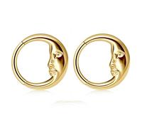 Niaspi 2Pcs 16G Moon Septum Rings for Women 316L Surgical Steel Septum Jewelry Nose Rings Hoops Hinged Segment Hoops Conch Helix Cartilage Earrings Body Piercing Jewelry 8mm 10mm, 8 mm, Stainless