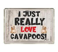 Nice Dog Gift - I Just Really Love Cavapoos - Novelty Fridge Magnet
