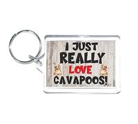 Nice Dog Gift - I Just Really Love Cavapoos - Novelty Keyring