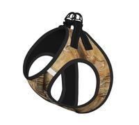 Nice Guitar Print Dog Harness Leash Set Reflective Pet Harness Puppy Vest Suitable Dogs Cats Small Breeds