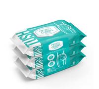 Nice 'n CLEAN Flushable Moist Wipes, 180 Count (3 Packs of 60)
