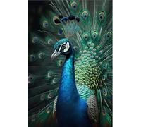 Nice Peacock Creative Fun Jigsaw Puzzle for Adults Challenging Traditional Puzzle Perfect for Family Nights Game_300pcs