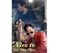 Nice to Not Meet You TV Series Poster 2025 (A1, A2, A3, A4) (A3)