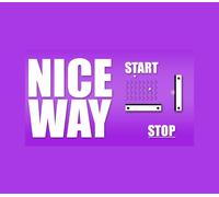 Nice Way PC Steam CD Key