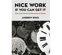 Nice Work If You Can Get It: Life and Labor in Precarious Times: 8 (NYU Series in Social and Cultural Analysis)