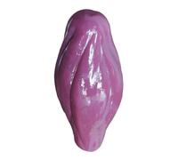 Nicear 1 Lb Anatomical Muscle Replica Model Realistic Human Anatomy Display for Fitness Instruction Medical Training and Health Education