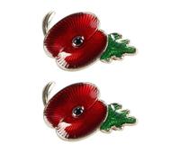 Nicear 2 Pcs Badges and Pins, Brooch, Red Lapel Pin, Remembrance, Never Forget Veterans Remembrance Day Brooch