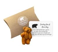 Nicear Memorial Anxiety Relief Teddy Bear - Pocket-Sized Emotional Support Animal with Encouragement Cards, Grief & Stress Comfort (Brown Hug Gift for Birthday/Graduation/Get Well)