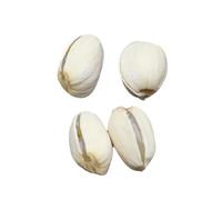 Nicear Pistachio Magic Trick Kit Close Up Stage Illusions Gimmicks Mentalism Props for Beginners and Pros