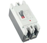Niceminiwall 2P DC 600V Solar Molded Case Circuit Breaker MCCB for Solar Battery PV Systems with Rated Current 100A/125A/160A and 600V DC Maximum Voltage(160A)
