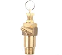 Niceminiwall Heavy Duty Copper Regulator Valve for High Pressure(B)