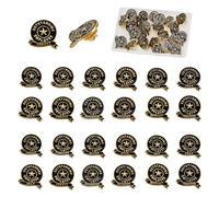 NICENEEDED 24 Pcs Employee of the Month Lapel Pin, Employee Star Recognition Pins, 1-12 Month Outstanding Employee Badge Employee Appreciation Award Pins for Employees Staff Team Coworkers Reward