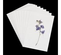 NICENEEDED 50 Sheets Blotting Paper for Flower Press, Large A4 Highly Absorbent and Reusable Blotter Paper, 8.26 x 14.7 Inch Blotter Paper for Flowers Press Herbarium Craft