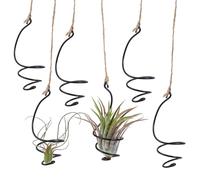 NICENEEDED 6 PCS Hanging Air Plant with Jute Ropes, Hanging Cage Soilless Tillandsia Succulent Display Container, Macrame Holders for Indoor Outdoor Plants