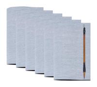 NICENEEDED 6 PCS Water Drawing Writing Cloth, 16.9 x 12.9 Inch Reusable Chinese Calligraphy Paper, Chinese Traditional Calligraphy Water Drawing Mat for Students Beginners Practicing