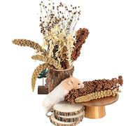 NICERINC PET Natural Ear of Grain Flower&Herb Bedding Mate Habitat Decor, Adding Fun Hamster Accessories for Hamsters Gerbils Lemming