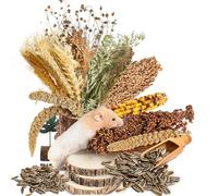 NICERINC PET Natural Ear of Grain Flower&Herb Bedding Mate Habitat Decor, Adding Fun Hamster Accessories for Hamsters Gerbils Lemming