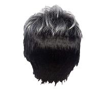 Nicfaky Men Short Straight Wig Ombre Grey Black Synthetic Wig for Male Hair Fleeciness Realistic Natural Toupee Wigs