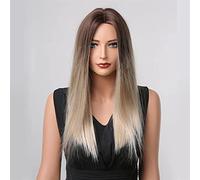 NICHANGHUA Lange synthetische Perücken Ash Grey Brown Ombre für Frauen Schwarze Wellig Für Hallow Cosplay Perücken (Color : LC1005-1)