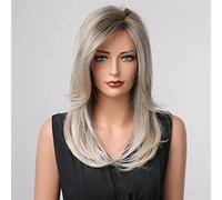 NICHANGHUA Lange synthetische Perücken Ash Grey Brown Ombre für Frauen Schwarze Wellig Für Hallow Cosplay Perücken (Color : LC1002-1)