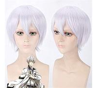 NICHANGHUA The Animation Shimotsuki Shun Cosplay Wigs 40cm Short Curly Silver for Man Boy Anime Universal Heat Resistant Synthetic Hair Wi