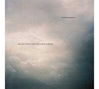 Nicholas Desamory - You Only Need To Know How It Feels To Believe [VINYL]