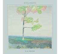 Nicholas Krgovich - In An Open Field